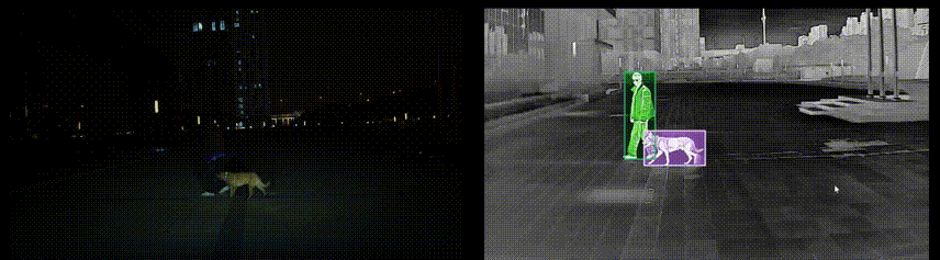 Night road scene: visible camera versus thermal channel detecting an animal and a pedestrian