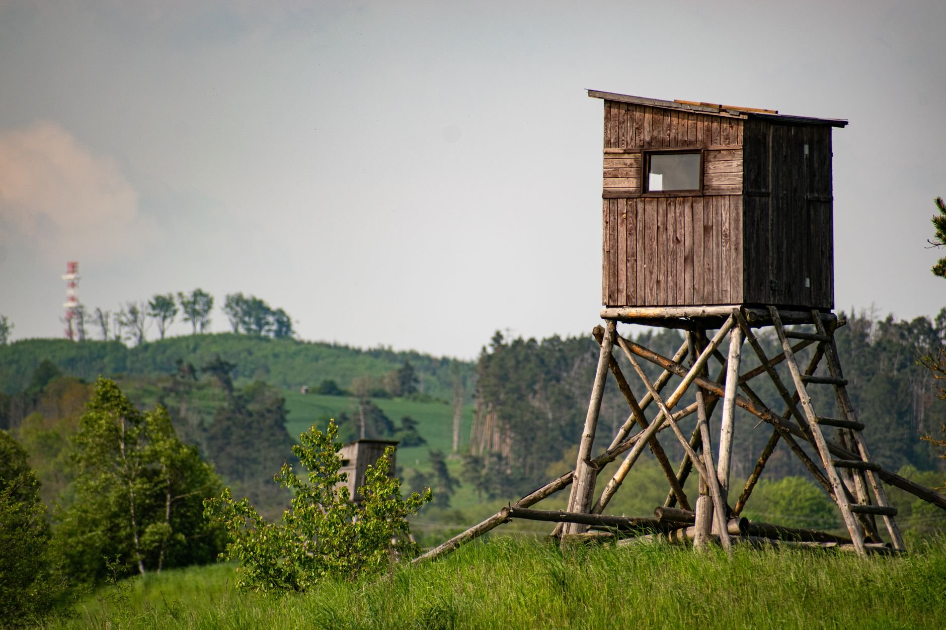 Forest Fire Watchtowers with Thermal Imaging: From Smoke-Spotting to Heat-Spotting