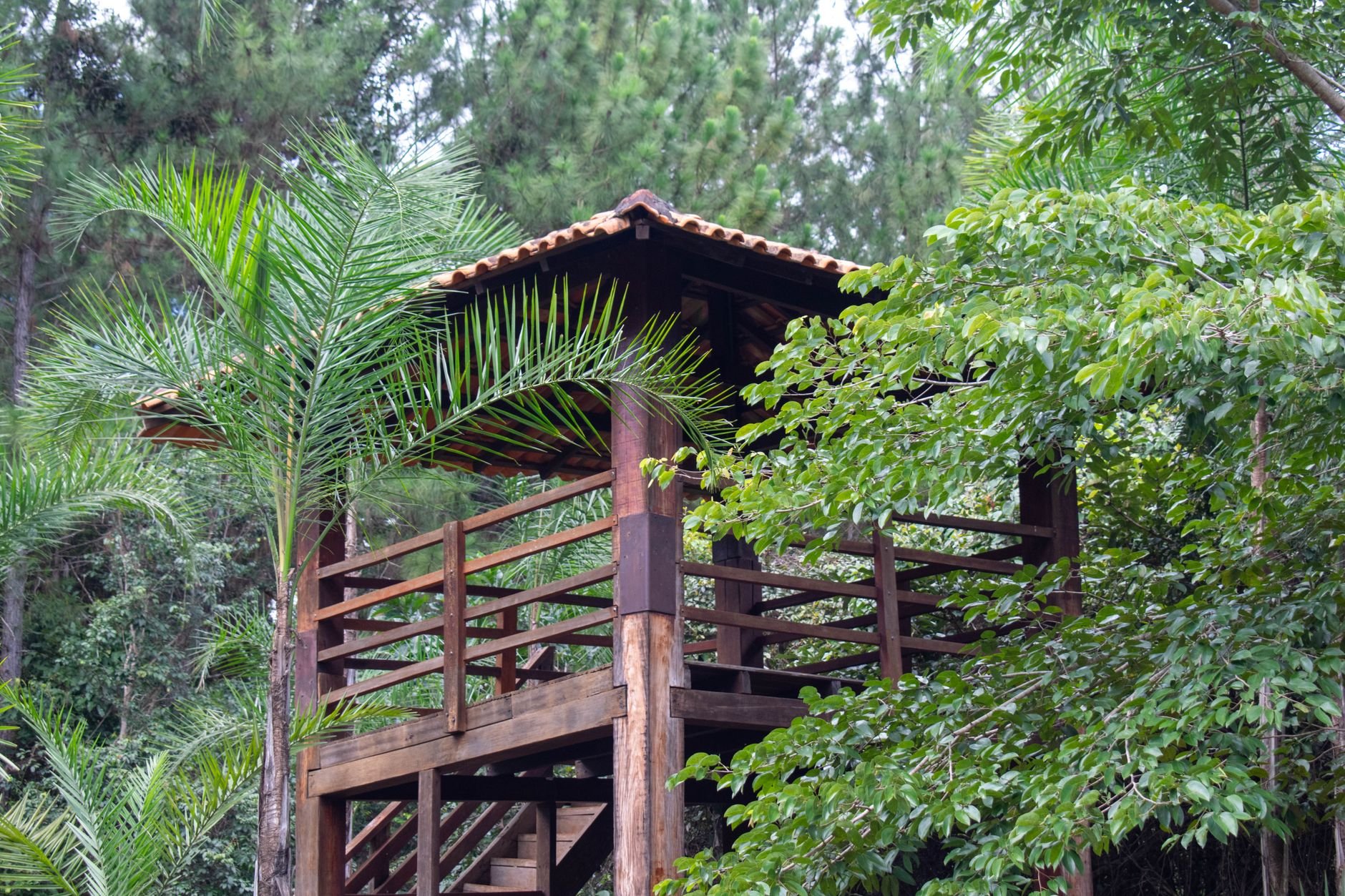 Thermal PTZ camera on a forest fire watchtower overlooking forested ridges