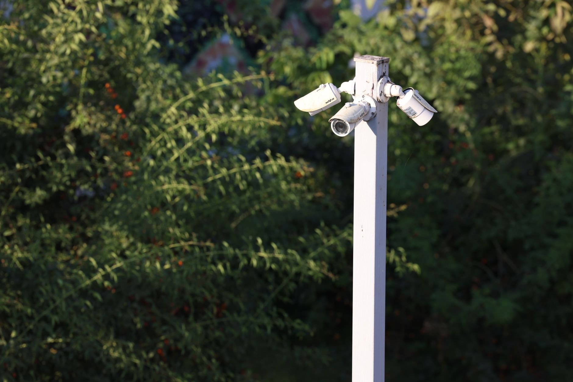Dual-sensor sentry tower with thermal and visible cameras overlooking mountainous terrain