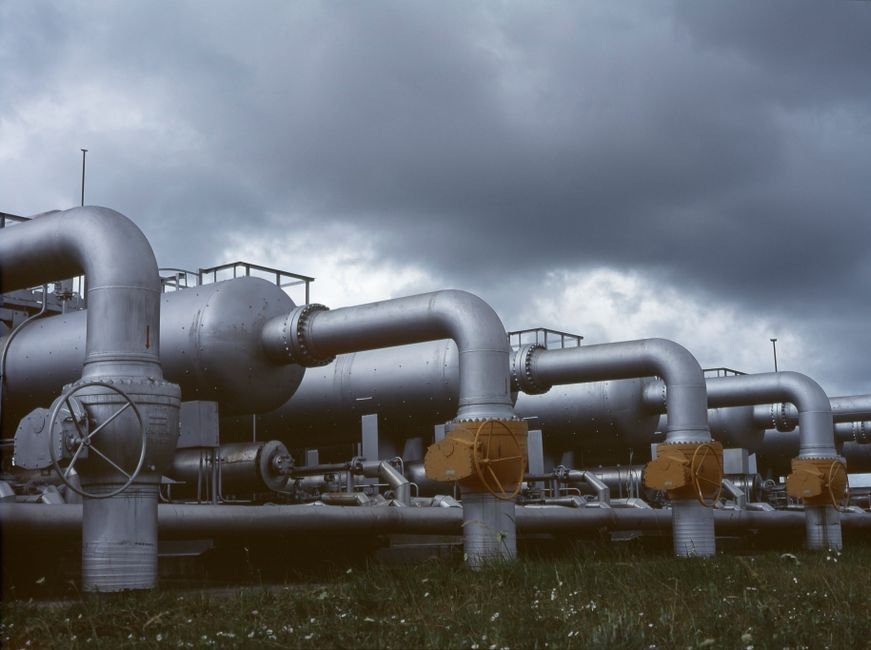 Pipe racks and process equipment in a petrochemical complex