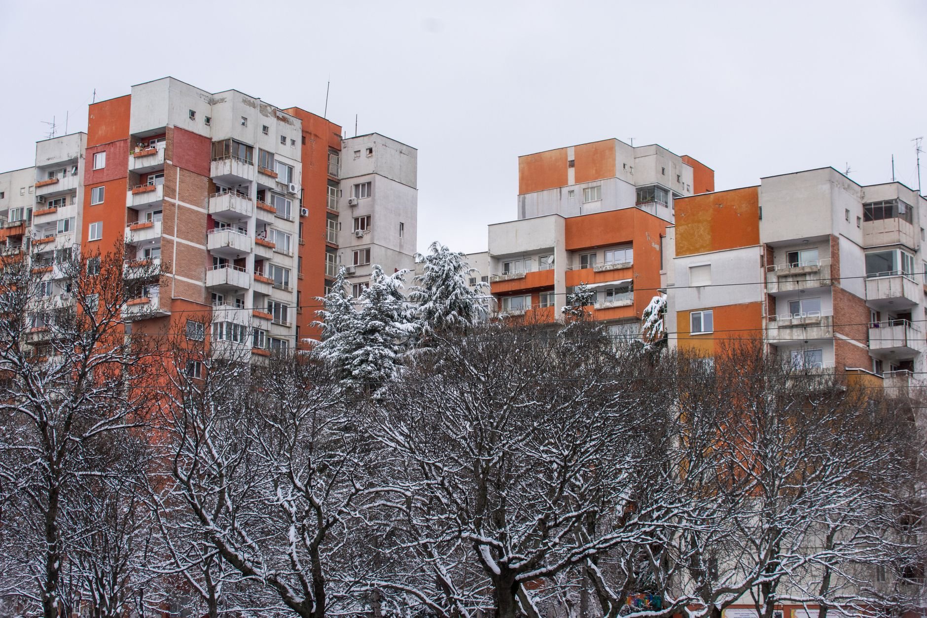 Thermal Bridge Surveys for a Building Retrofit Program: Finding the Heat Leaks Before the Money