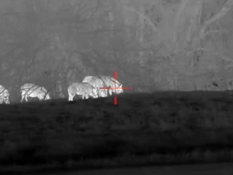 Outdoor Night Vision